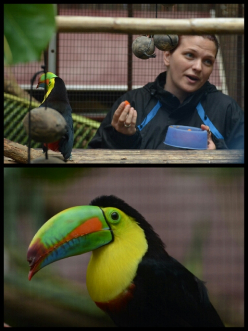 pic20140524193932.jpg image