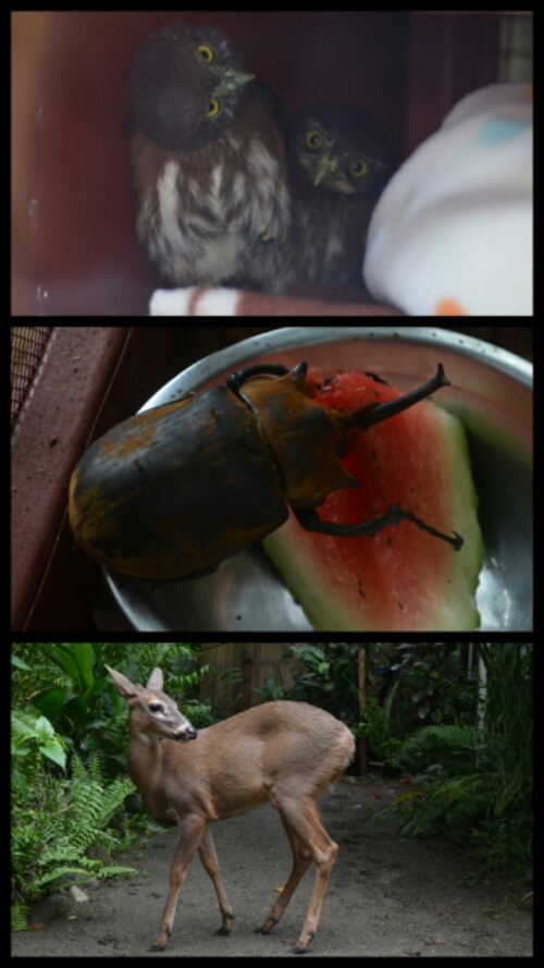 pic20140524194035.jpg image