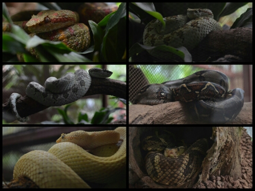 pic20140524194221.jpg image