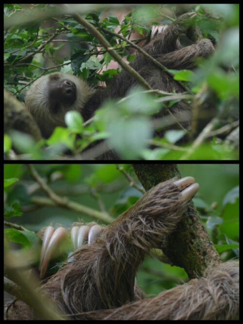 pic20140524194823.jpg image