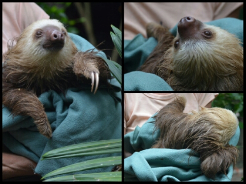 pic20140524194921.jpg image