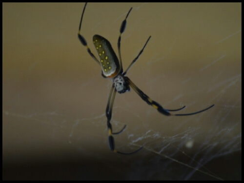 pic20140524195143.jpg image