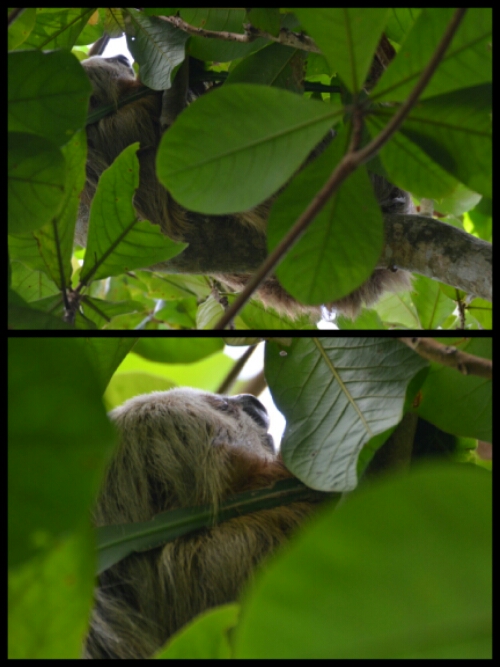 pic20140524195556.jpg image