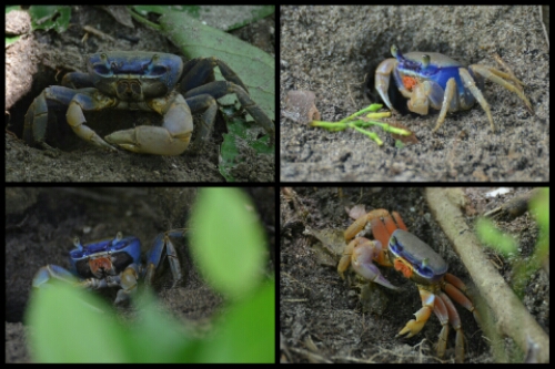 pic20140524195847.jpg image