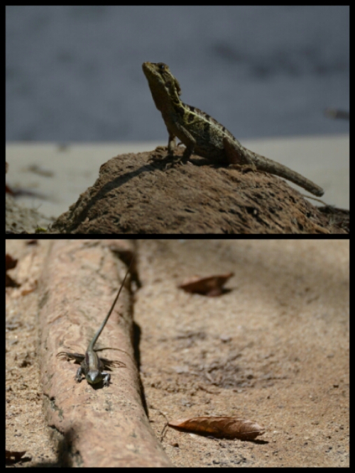 pic20140524200141.jpg image