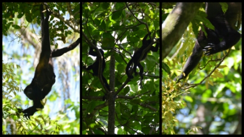 pic20140524200848.jpg image