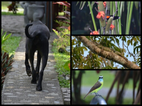 pic20140524201707.jpg image