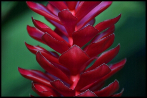 pic20140524201740.jpg image