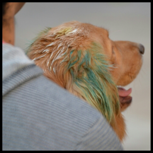 pic20140705171756.jpg image