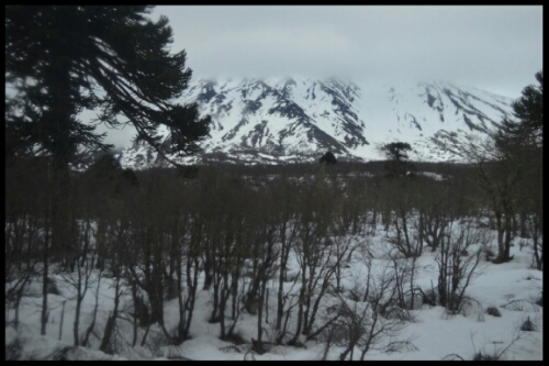 pic20140705172208.jpg image