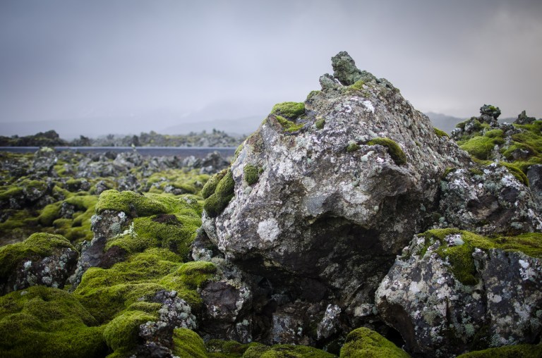 Berserkjahraun lava field