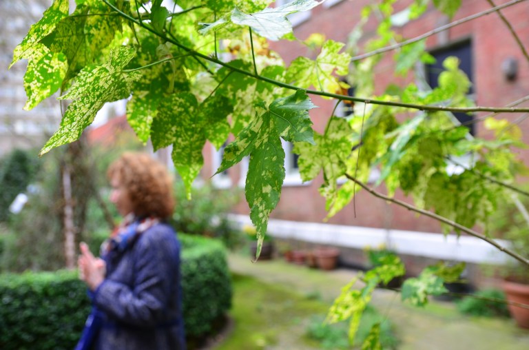 Bromley House Library