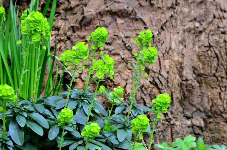 Bromley House Library