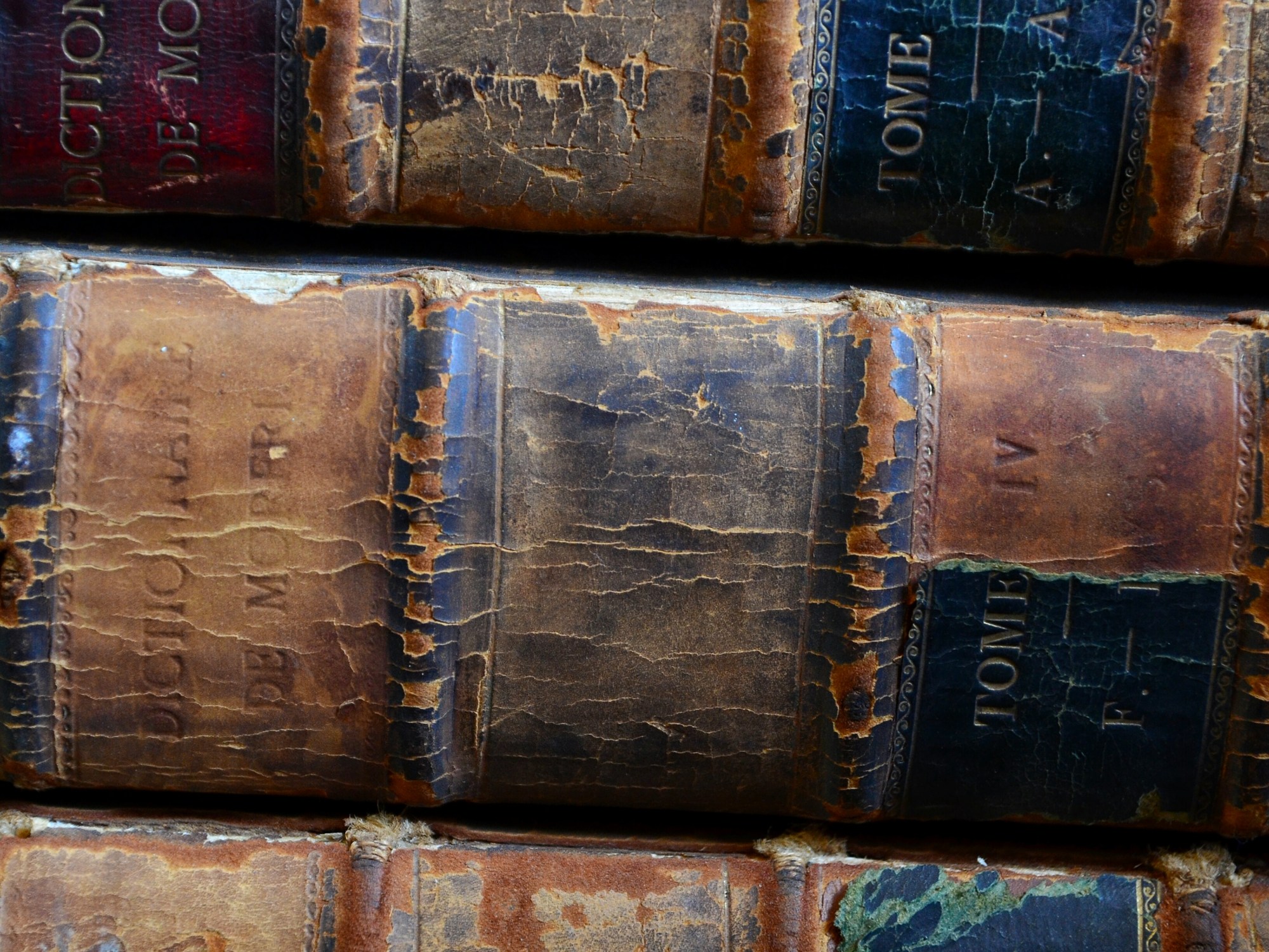 Bromley House Library