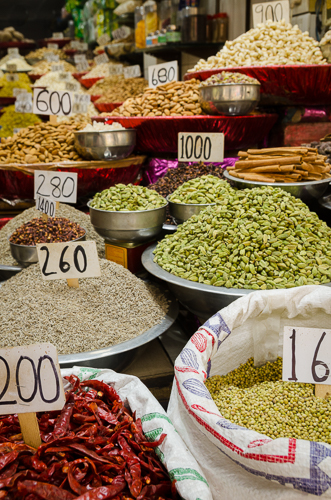 Delhi Spice Market