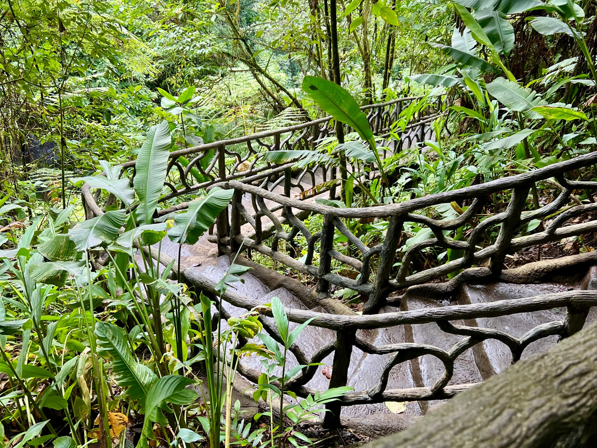 steep paths at La Paz Waterfall Gardens